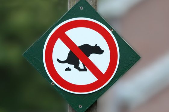 inaceitável-561x371